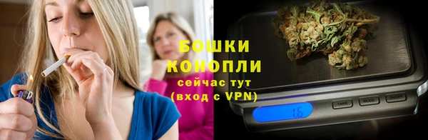 spice Аркадак