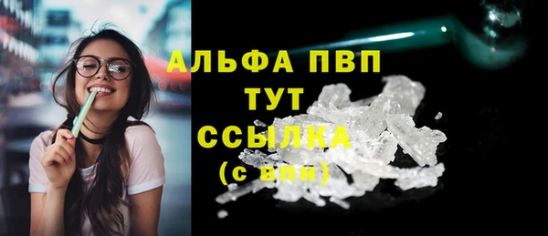 spice Аркадак