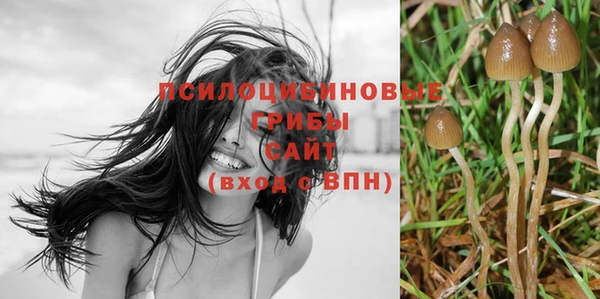 круглые Алексин