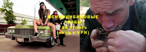 spice Аркадак