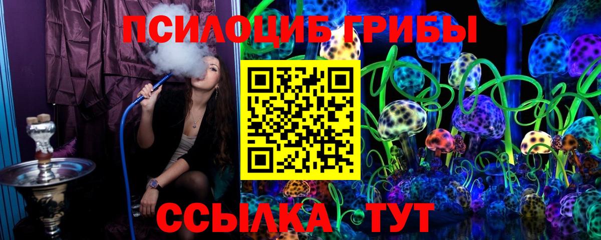 купить наркотики цена  Вход с VPN  Елабуга  Галлюциногенные грибы Magic Shrooms 